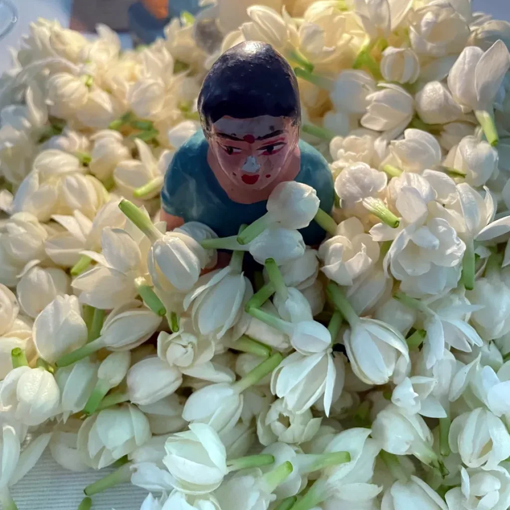 For the Love of Jasmine