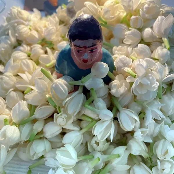 For the Love of Jasmine