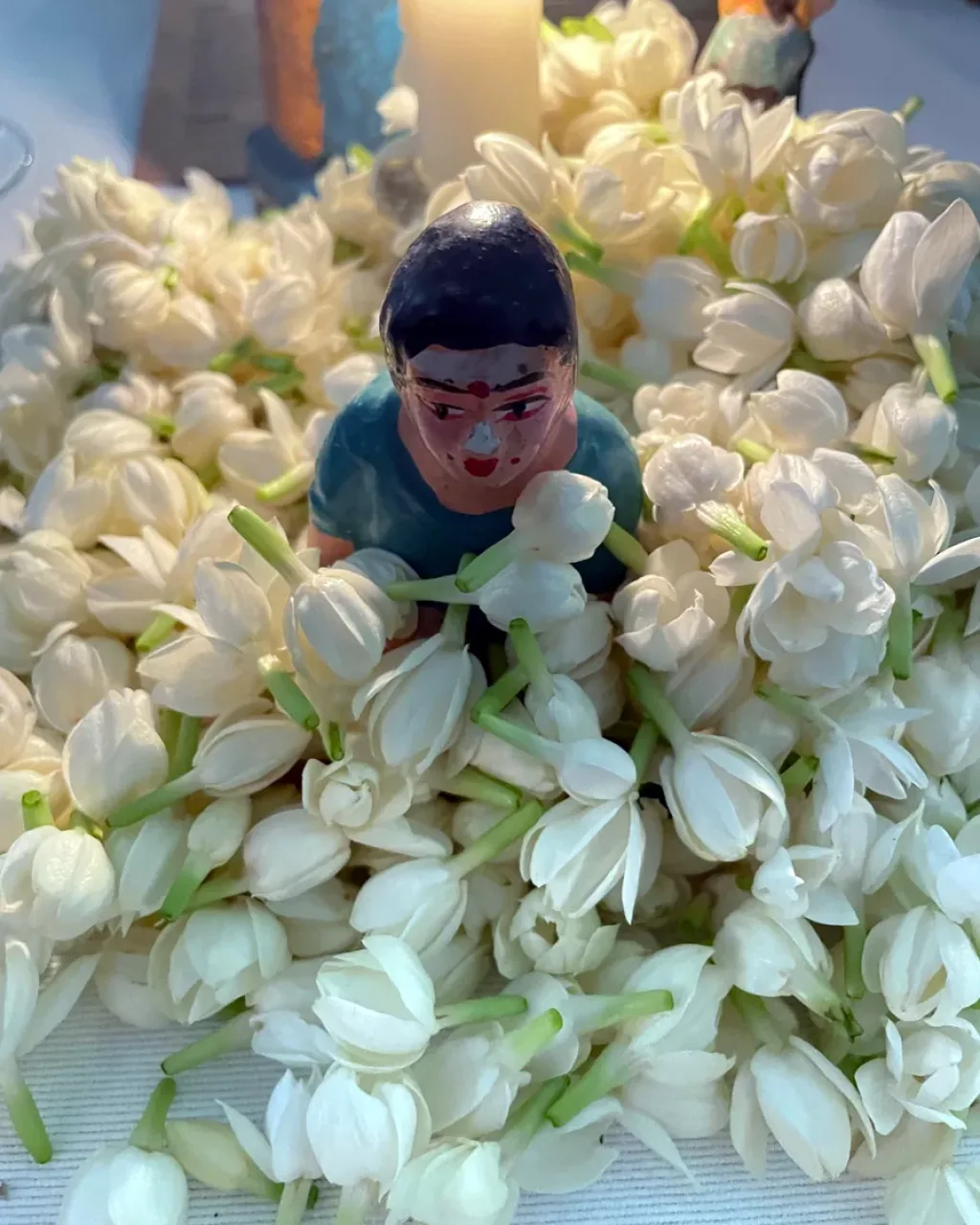 india-contemporary-jasmine-web.webp