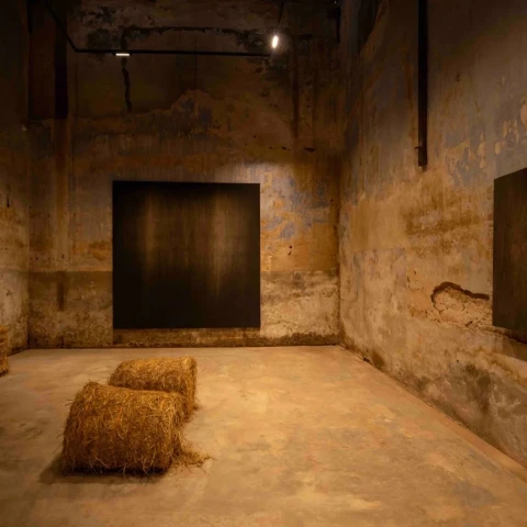 Kochi-Muziris Biennale 2025