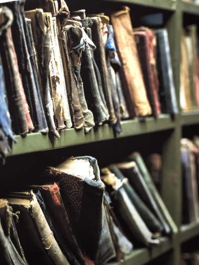 The Sweet Sop by Ingrid Persaud