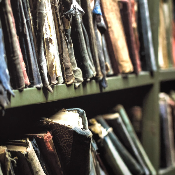 The Sweet Sop by Ingrid Persaud