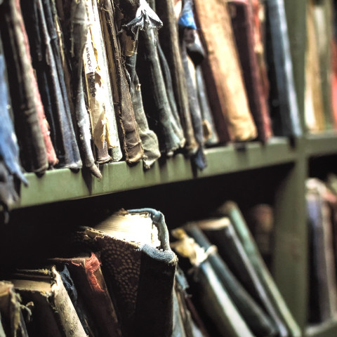 The Sweet Sop by Ingrid Persaud