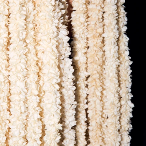 In Their Own Words: Partition Memorial Trust