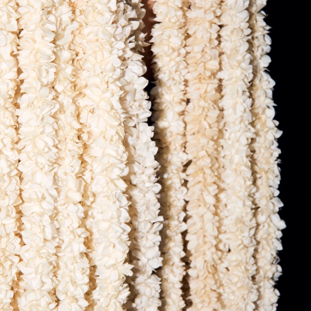 In Their Own Words: Partition Memorial Trust