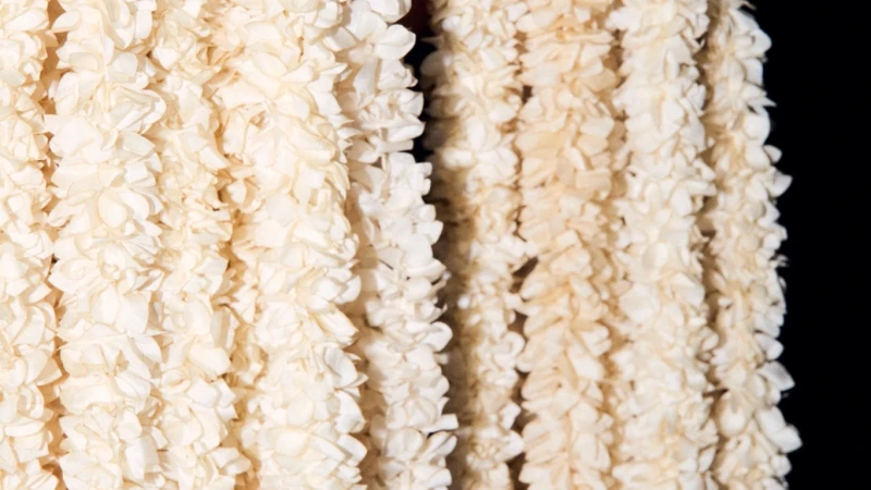 In Their Own Words: Partition Memorial Trust